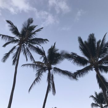 We want you to maximize your relaxation on the island. Whether you have extra time before a flight or hotel check-in, we can store and transport your luggage!